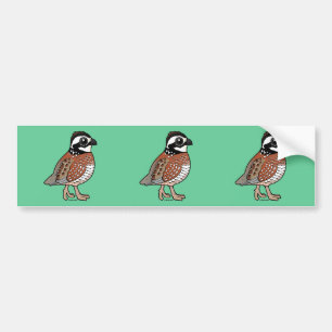 Northern Bobwhite Bumper Sticker