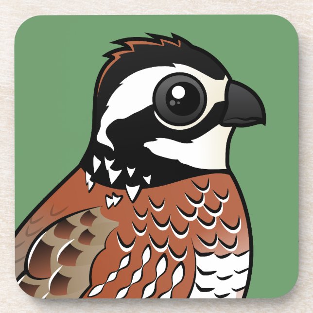 Northern Bobwhite Drink Coaster (Front)