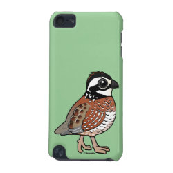 Northern Bobwhite Case-Mate Barely There 5th Generation iPod Touch Case