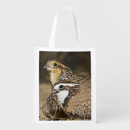 Northern Bobwhite quail babies at pond for drink Reusable Grocery Bag