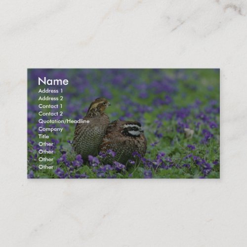 Northern bobwhite quail business cards