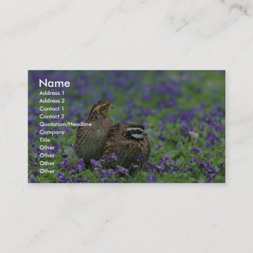Customizable Northern bobwhite quail business cards
