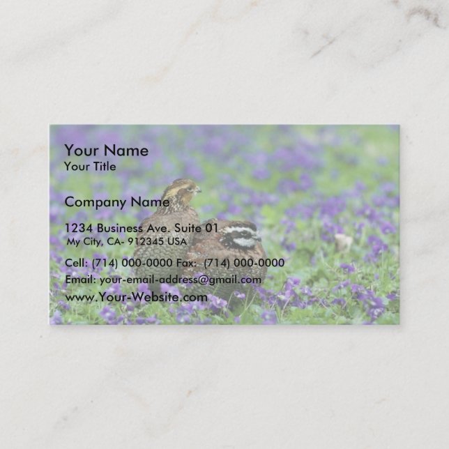 Northern bobwhite quail business card (Front)