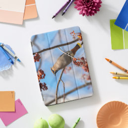 Northern Brown Bird, Bohemian Waxwing iPad Pro Cover