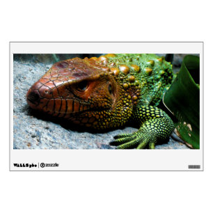 Northern Caiman Lizard Dracaena Guianensis Wall Sticker