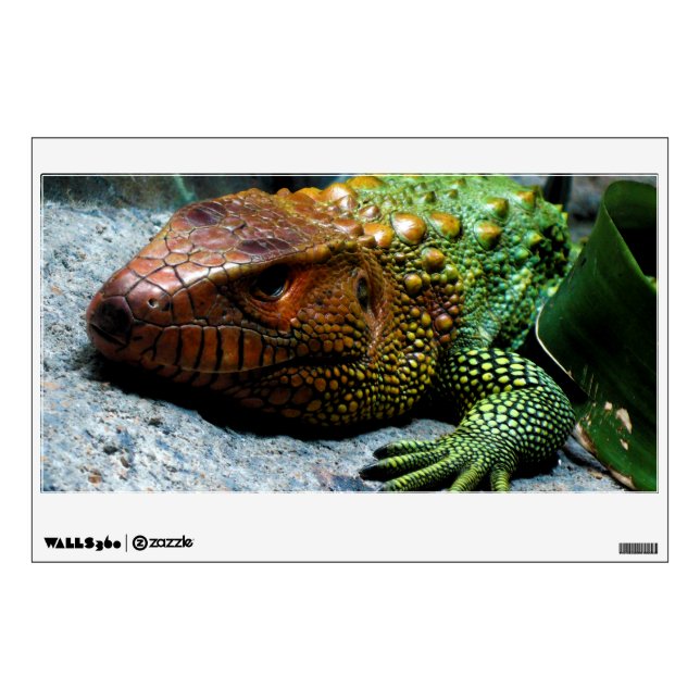 Northern Caiman Lizard Dracaena Guianensis Wall Sticker (Front)
