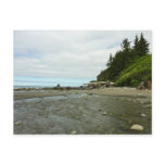 Northern California Coastline from Redwood Park Postcard