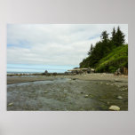 Northern California Coastline from Redwood Park Poster