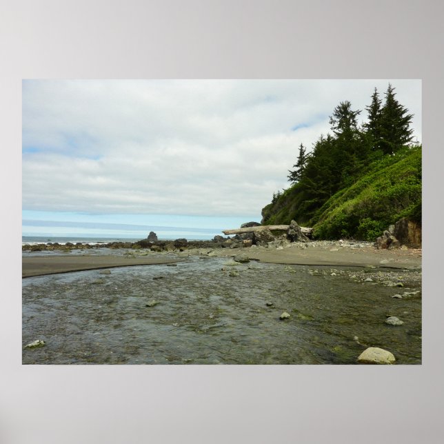 Northern California Coastline from Redwood Park Poster (Front)