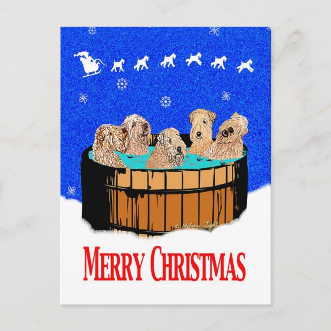 NORTHERN CALIFORNIA MERRY CHRISTMAS HOLIDAY POSTCARD (Front)