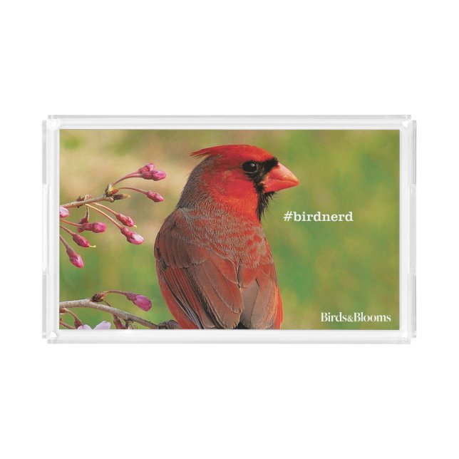 Northern Cardinal 2 Acrylic Tray (Front)