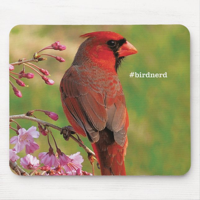 Northern Cardinal 2 Mouse Pad (Front)