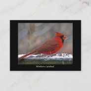 Northern Cardinal Atc Business Card at Zazzle