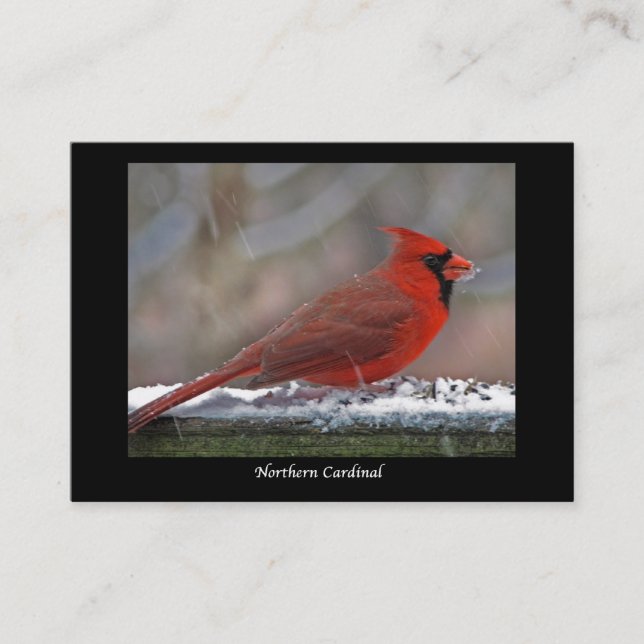 Northern Cardinal ATC Business Card (Front)