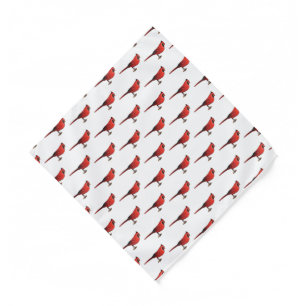 Northern cardinal bird cartoon illustration bandana