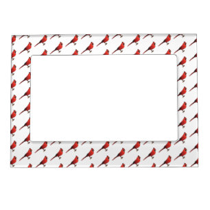 Northern cardinal bird cartoon illustration magnetic frame