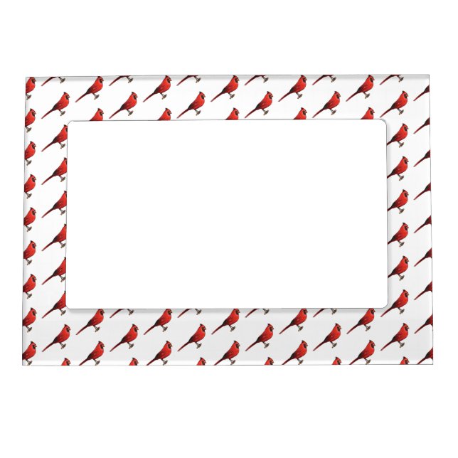 Northern cardinal bird cartoon illustration magnetic frame (Front)