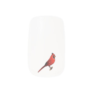 Northern cardinal bird cartoon illustration minx nail art