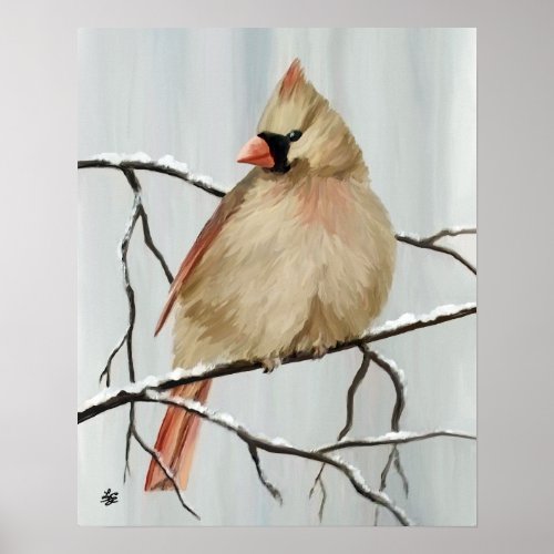 Northern Cardinal Bird In Winter Poster