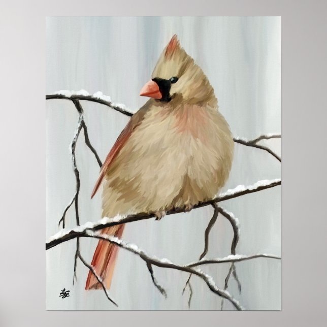 Northern Cardinal Bird In Winter Poster (Front)