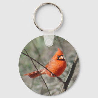Northern Cardinal Bird Keychain