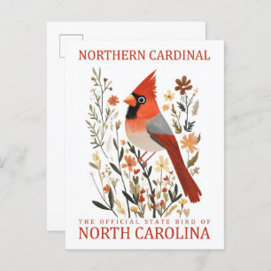 Northern Cardinal Bird of North Carolina USA Postcard