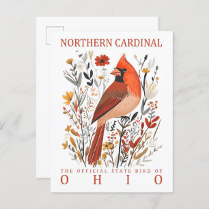 Northern Cardinal Bird of Ohio USA Postcard