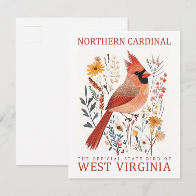Northern Cardinal Bird of West Virginia Travel Postcard (Front/Back)