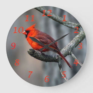 Northern Cardinal Bird Wall Clock
