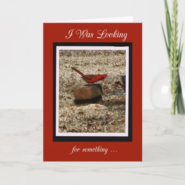 Northern Cardinal Birthday Card (Front)