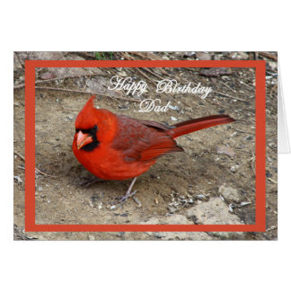 Red Cardinal Birthday Cards - Greeting & Photo Cards | Zazzle
