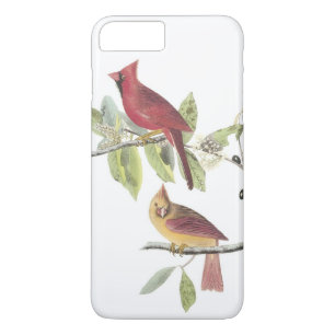 Northern Cardinal by Audubon iPhone 8 Plus/7 Plus Case