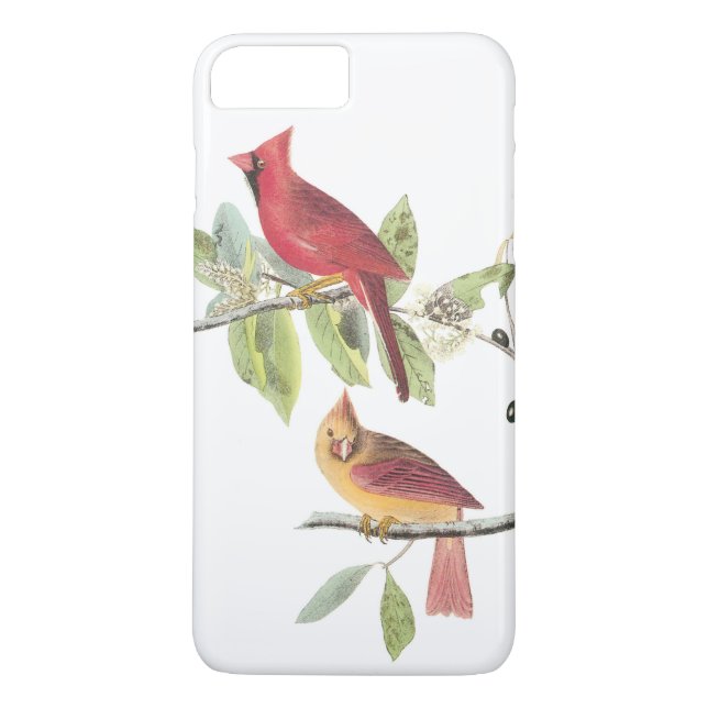 Northern Cardinal by Audubon Case-Mate iPhone Case (Back)