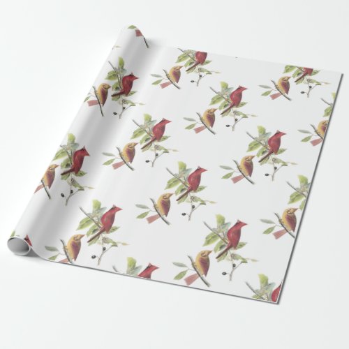 Northern Cardinal by Audubon Wrapping Paper