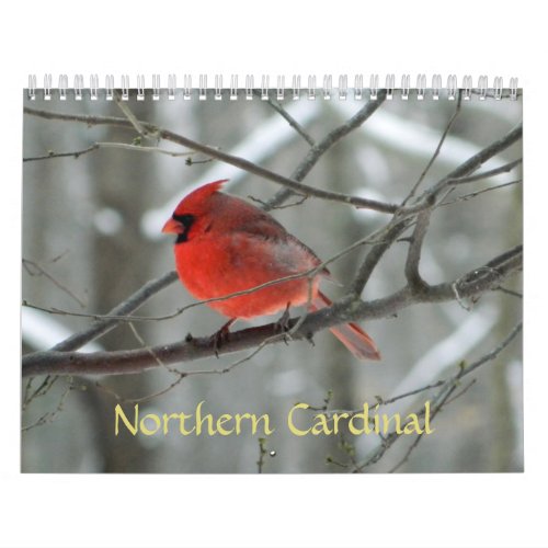 Northern Cardinal Calendar