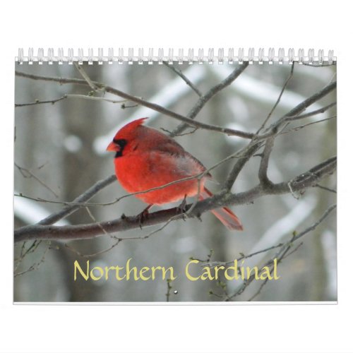 Northern Cardinal Calendar