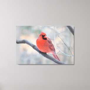 Northern Cardinal (Cardinal Creek) Wrapped Canvas Print