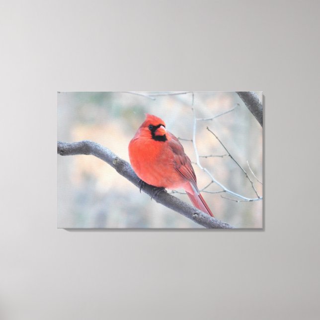Northern Cardinal (Cardinal Creek) Wrapped Canvas Print (Front)