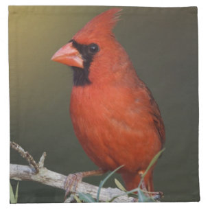 Northern Cardinal, Cardinalis cardinalis, male Cloth Napkin
