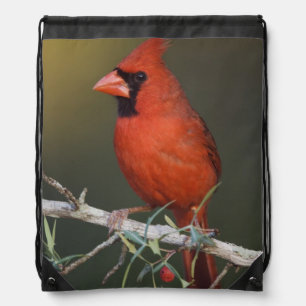 Northern Cardinal, Cardinalis cardinalis, male Drawstring Bag