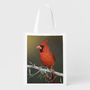 Northern Cardinal, Cardinalis cardinalis, male Reusable Grocery Bag