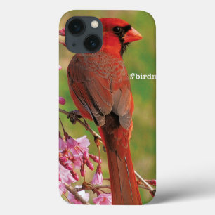 Northern Cardinal iPhone 13 Case