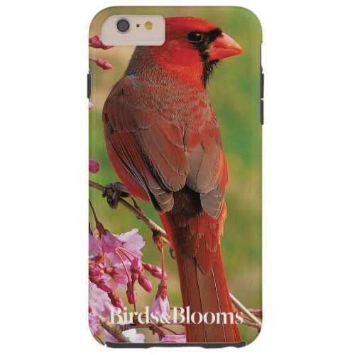 Northern Cardinal Tough iPhone 6 Plus Case