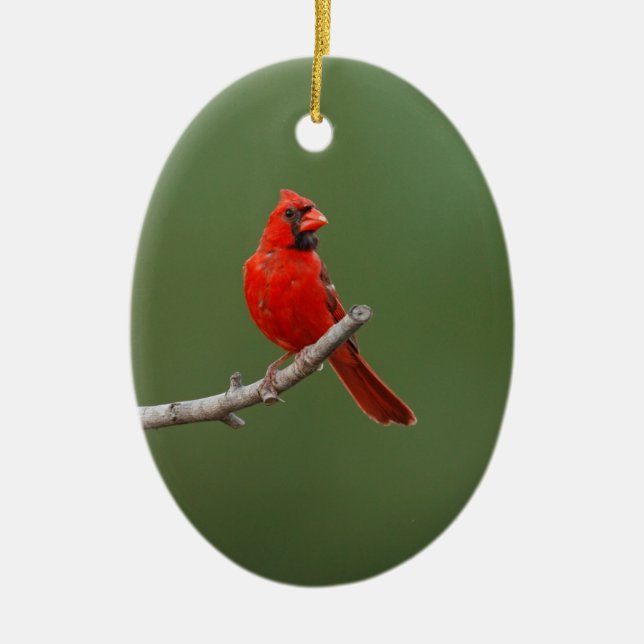 Northern Cardinal Ceramic Ornament (Front)