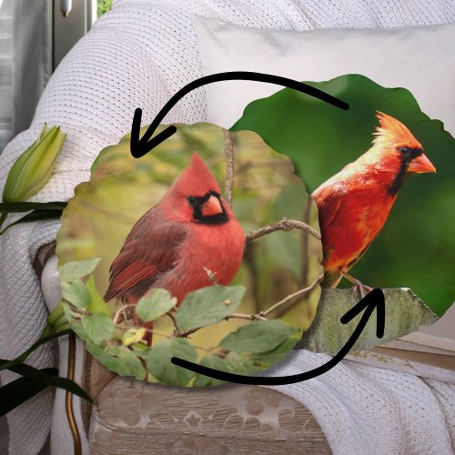 Northern Cardinal Double_Sided Nature Photography Round Pillow