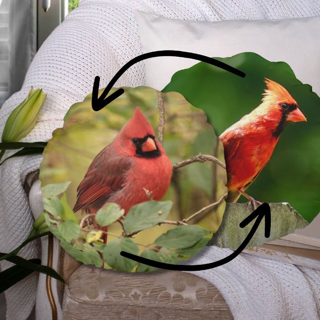 Northern Cardinal Double-Sided Nature Photography Round Pillow (Creator Uploaded)