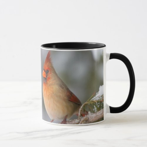 Northern Cardinal female in spruce tree in winter Mug