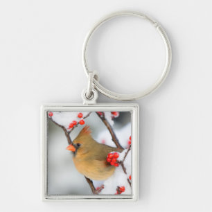 Northern Cardinal female on Common Winterberry Keychain