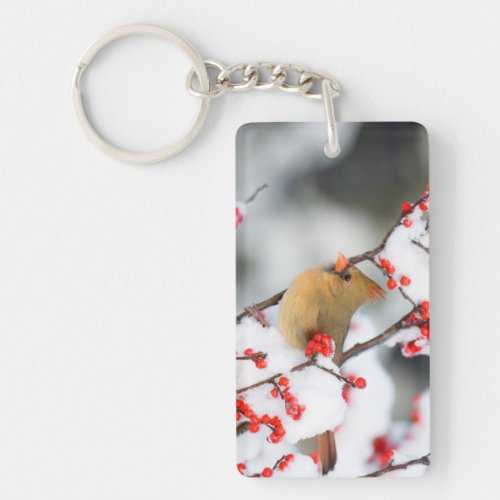 Northern Cardinal female on Common Winterberry Keychain