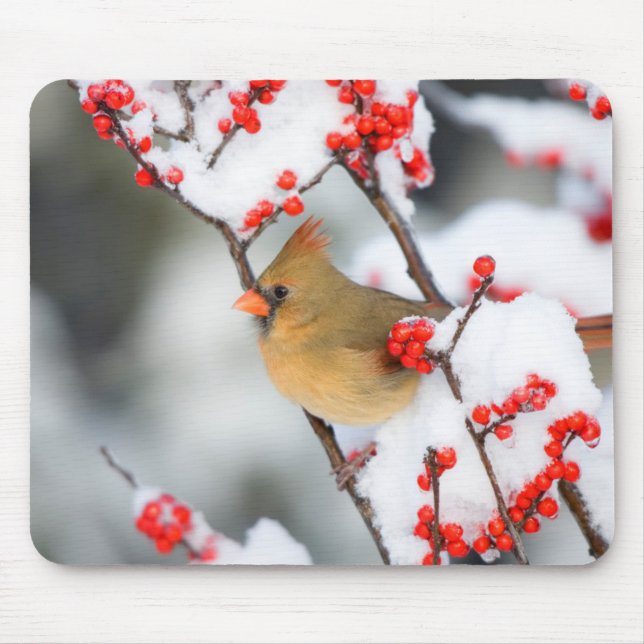Northern Cardinal female on Common Winterberry Mouse Pad (Front)